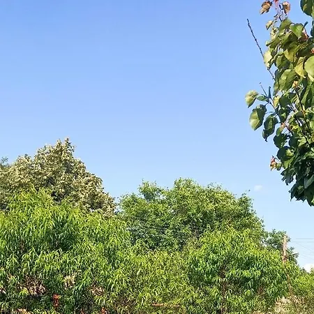 Sky Palamartsa Bulgaria Σπίτι διακοπών Popovo
