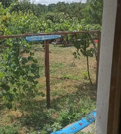 Sky Palamartsa Bulgaria Σπίτι διακοπών *