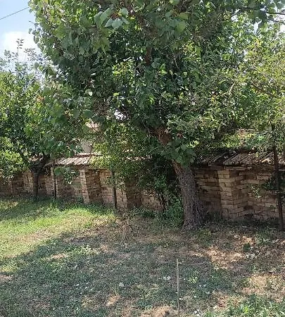 Σπίτι διακοπών Sky Palamartsa Bulgaria Popovo